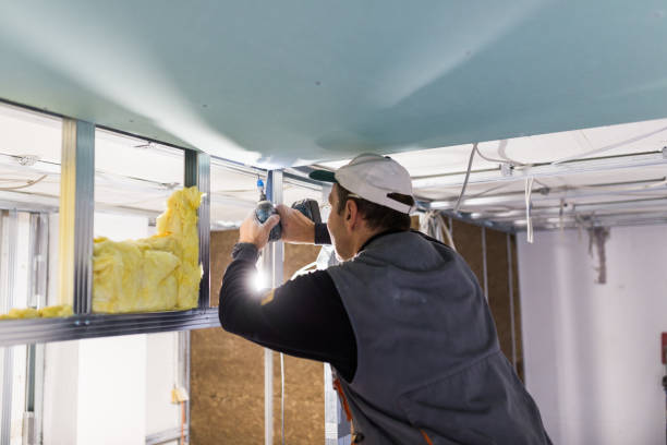 Best Insulation Air Sealing  in USA